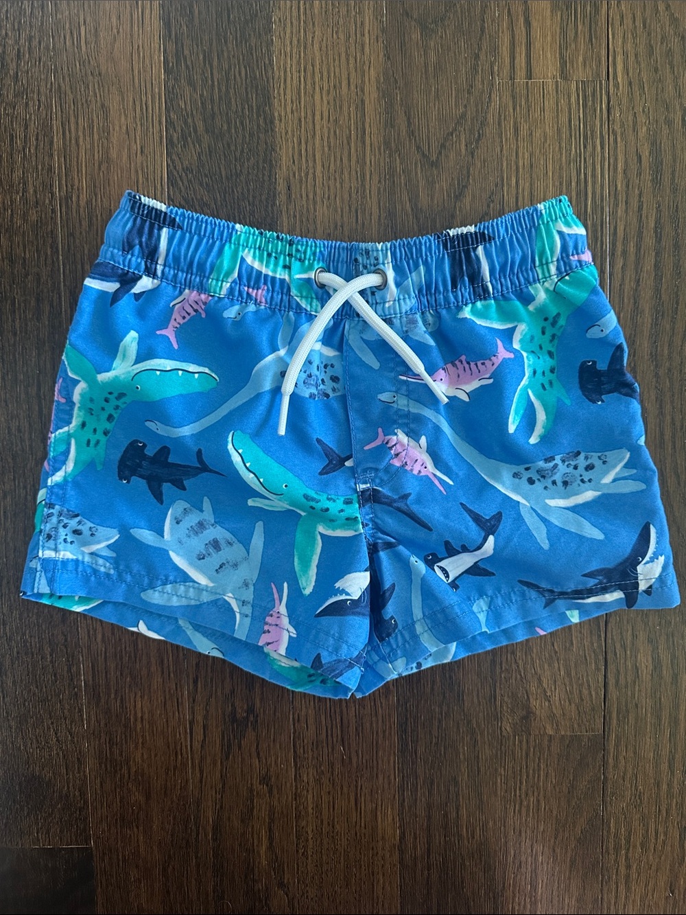 Carter's Shark Rash Guard Swim Set - Picture 2 of 5